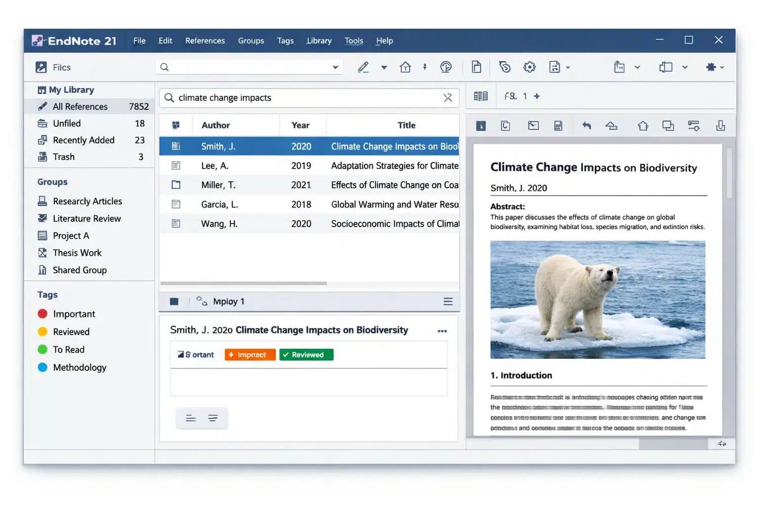 Infografía de EndNote 21 mostrando el flujo importar, organizar y citar en Word