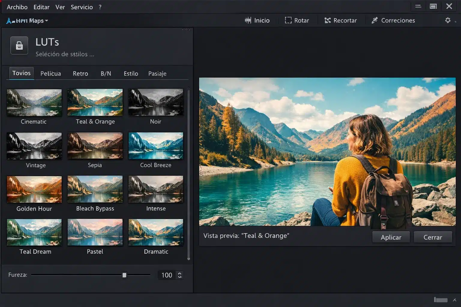 Panel de LUTs en Ashampoo Photo Optimizer 10 con vista previa de estilos
