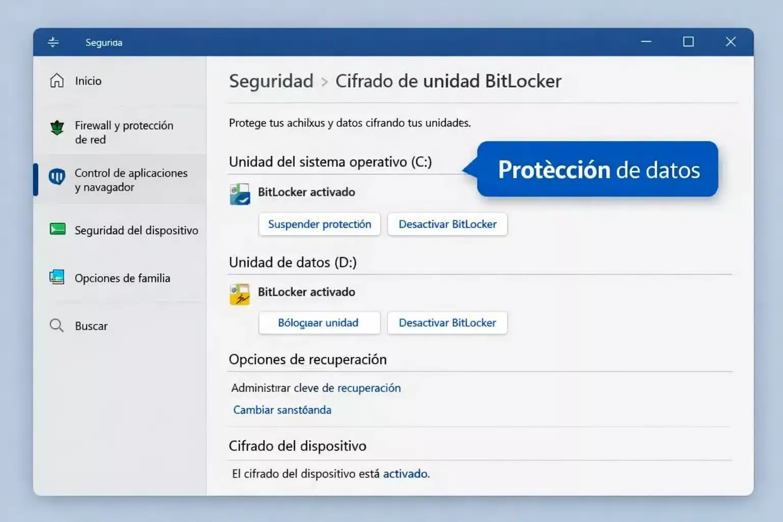 Captura de funciones Pro: BitLocker y opciones de seguridad