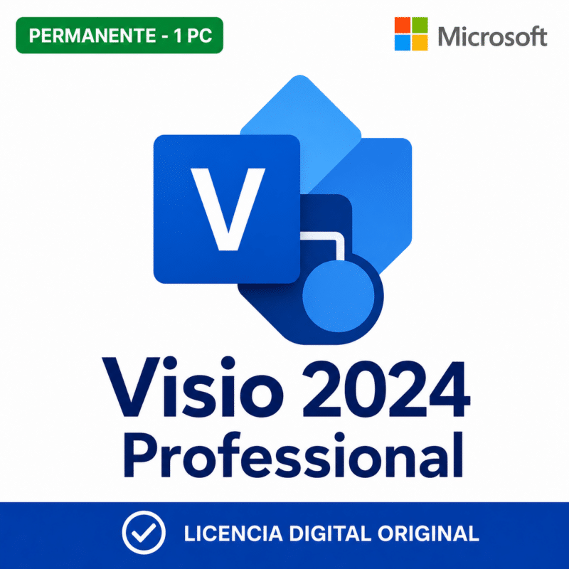 cover-11162-visio-2024-professional-clean-logo