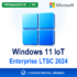 cover-fix-69605-windows-11-iot-enterprise-ltsc-2024-1-pc-licencia-permanente