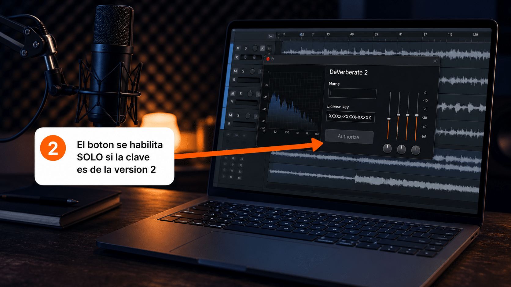Cuadro de activación de DeVerberate con el campo de license key y el botón Authorize