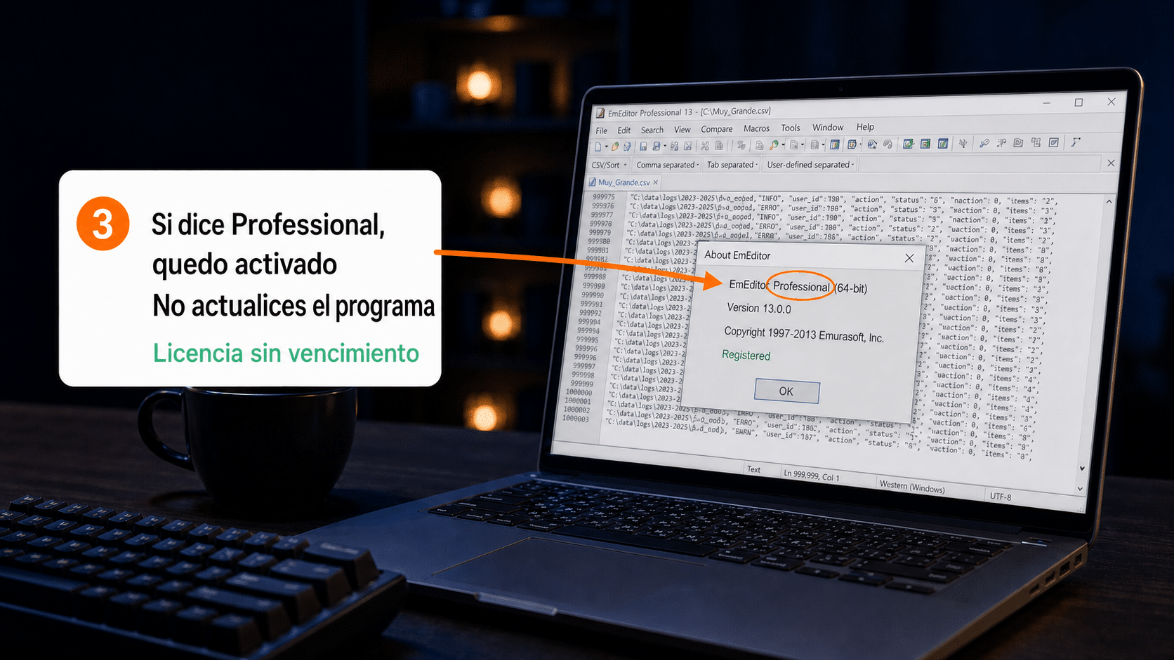EmEditor Professional abriendo un archivo de texto muy grande