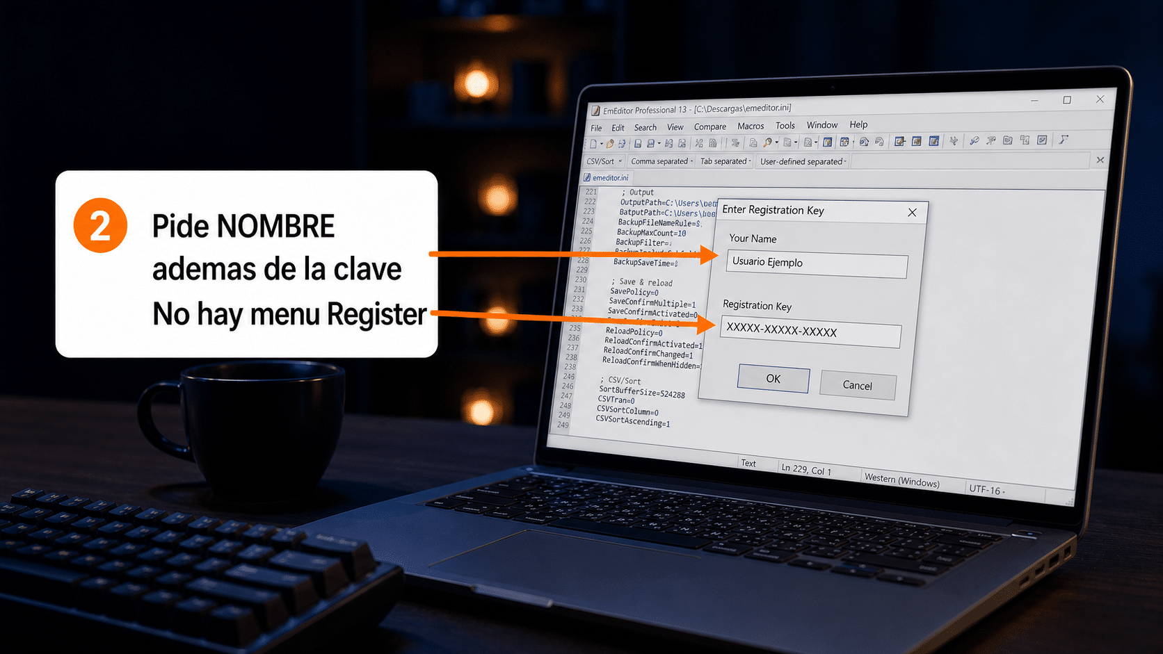 Ventana Enter Registration Key de EmEditor con los campos Your Name y Registration Key