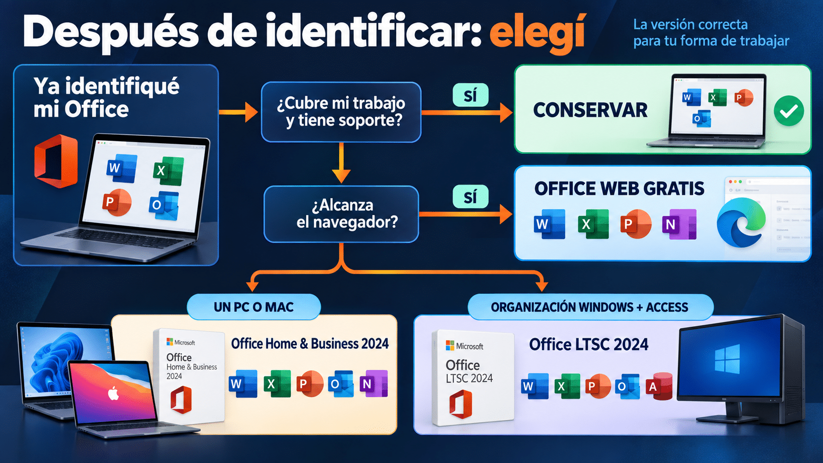 Árbol de decisión después de identificar Office: conservar, usar web gratis o actualizar a Office 2024