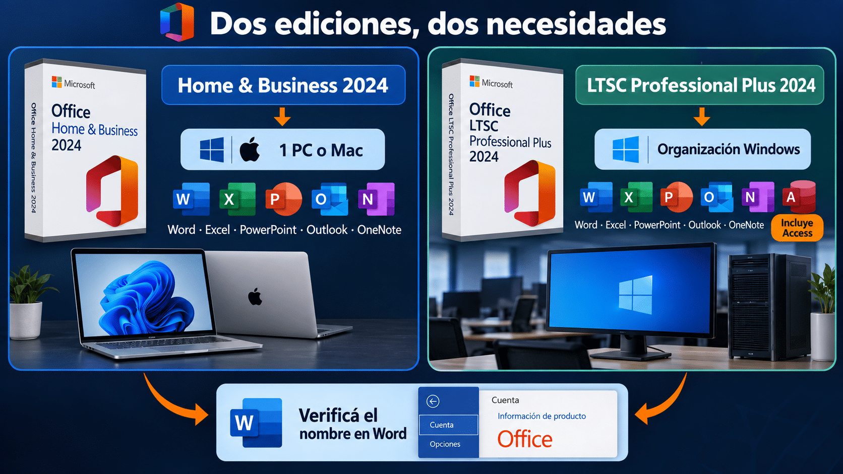 Diferencia entre Office Home Business 2024 y Office LTSC Professional Plus 2024 después de verificar la versión