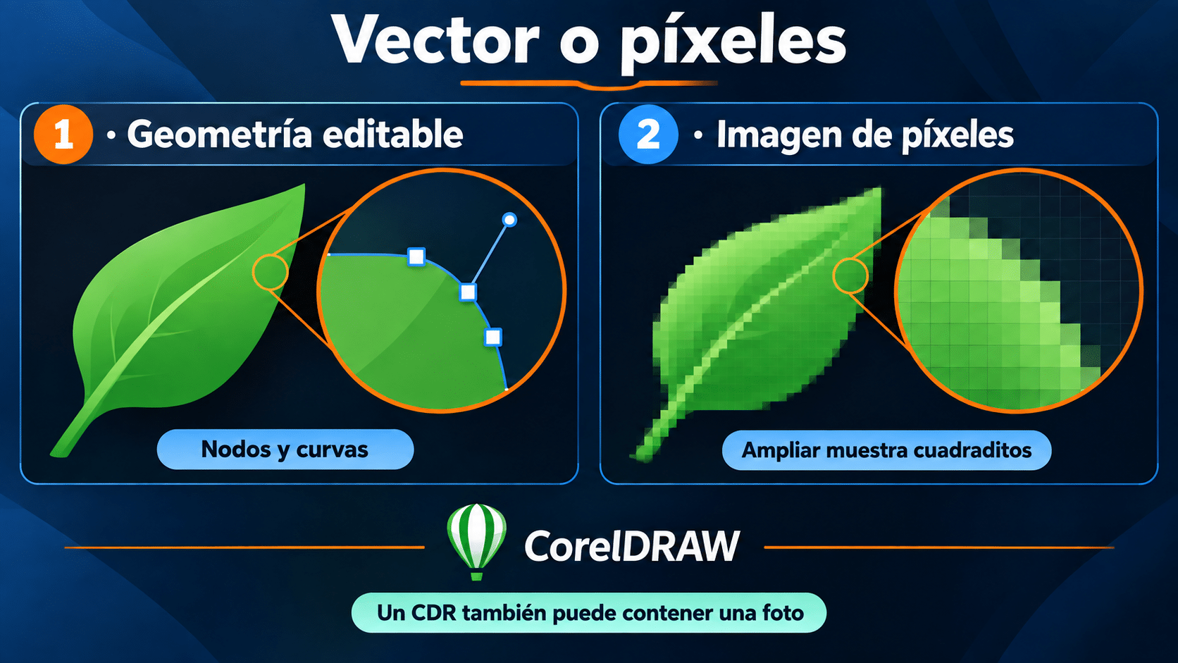 Comparación entre una hoja vectorial editable y una imagen de píxeles ampliada