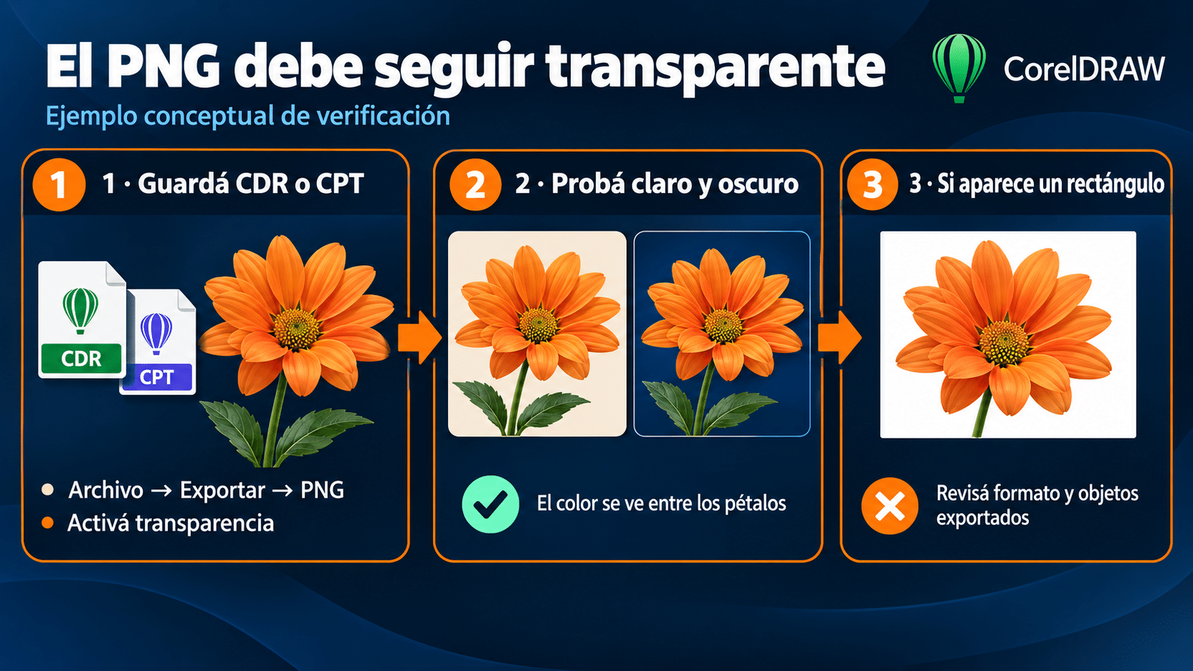 PNG transparente comprobado sobre fondo claro y oscuro